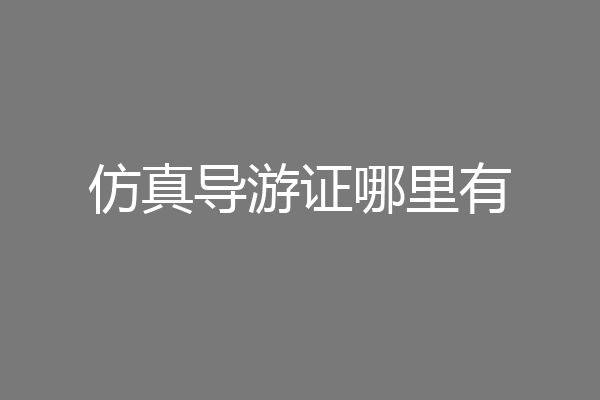 仿真导游证哪里有