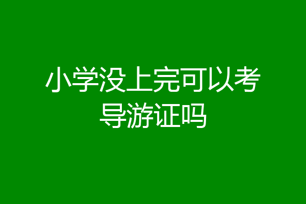 小学没上完可以考导游证吗