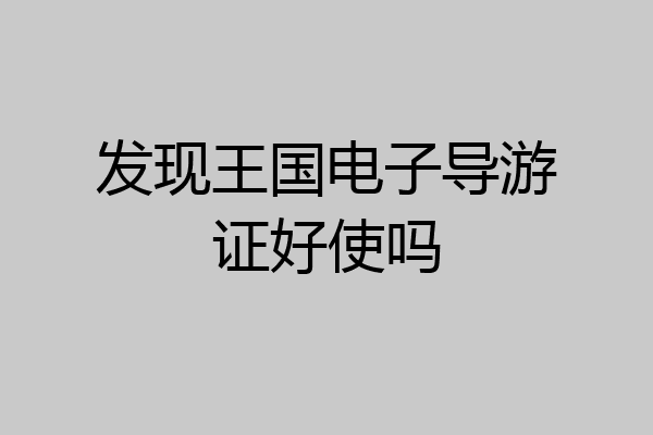 发现王国电子导游证好使吗