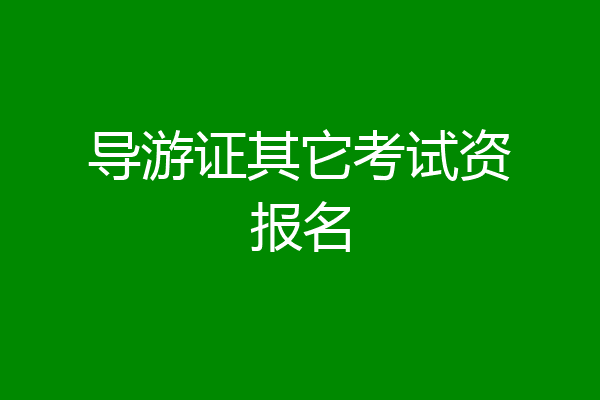 导游证其它考试资报名