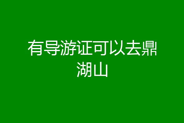 有导游证可以去鼎湖山