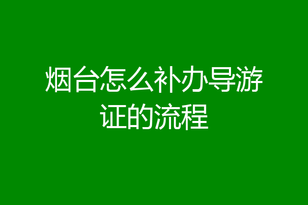 烟台怎么补办导游证的流程