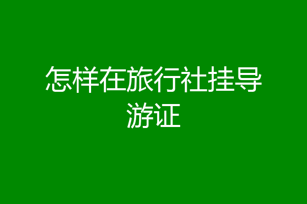 怎样在旅行社挂导游证