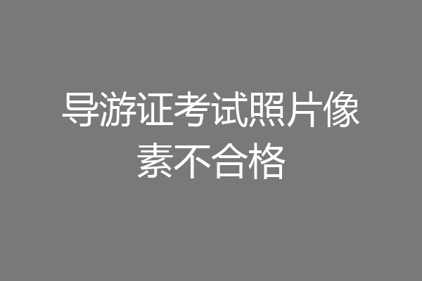 导游证考试照片像素不合格