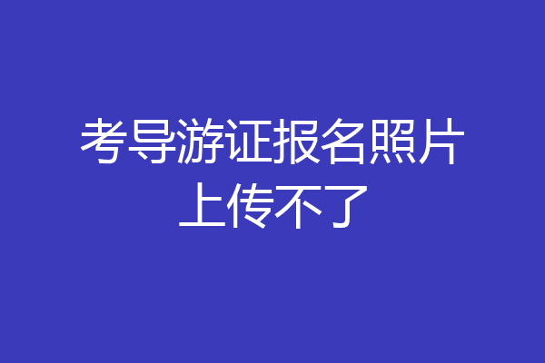 考导游证报名照片上传不了