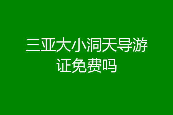 三亚大小洞天导游证免费吗