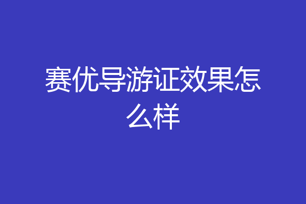 赛优导游证效果怎么样