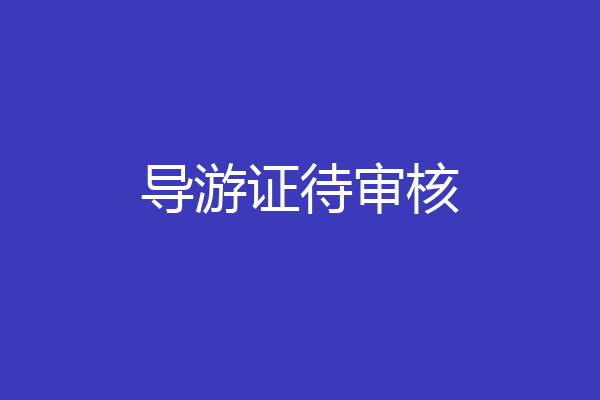 导游证待审核