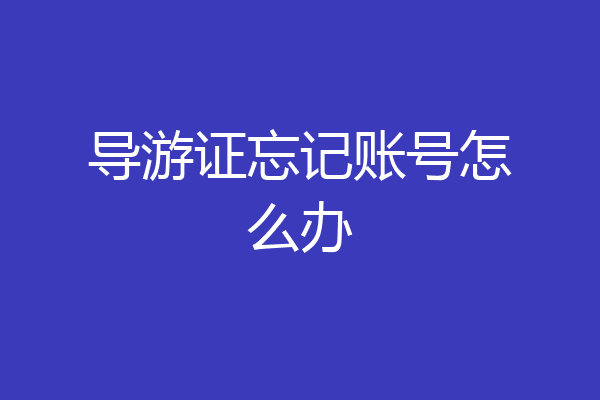 导游证忘记账号怎么办