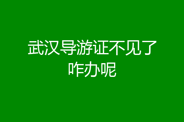 武汉导游证不见了咋办呢