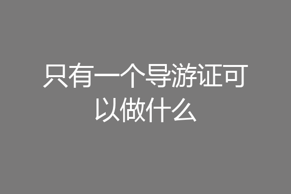 只有一个导游证可以做什么