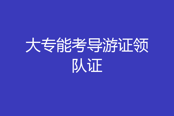 大专能考导游证领队证