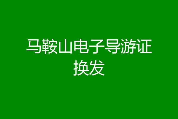 马鞍山电子导游证换发