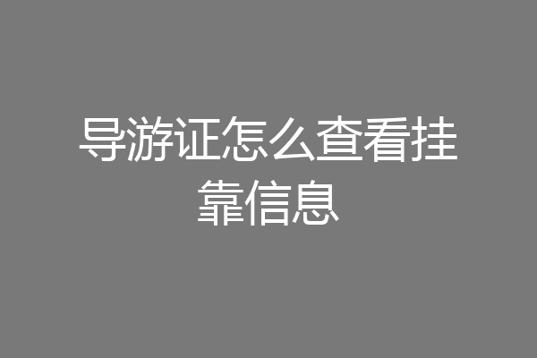 导游证怎么查看挂靠信息