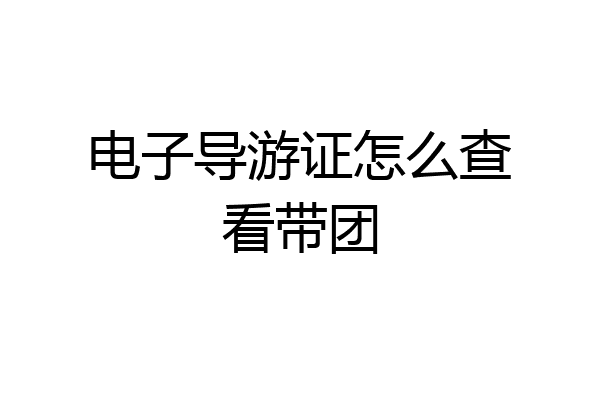 电子导游证怎么查看带团