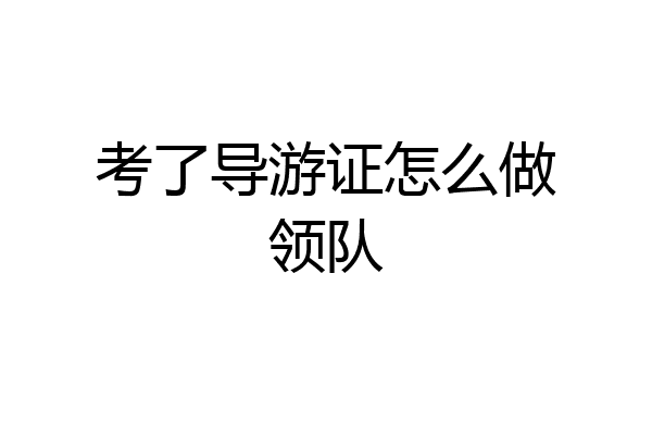 考了导游证怎么做领队