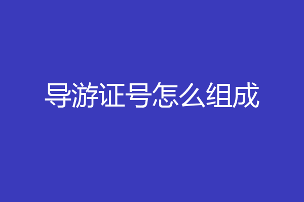 导游证号怎么组成