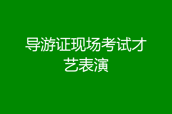 导游证现场考试才艺表演