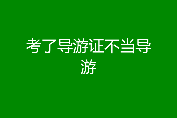 考了导游证不当导游