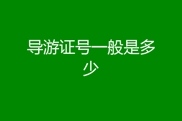 导游证号一般是多少