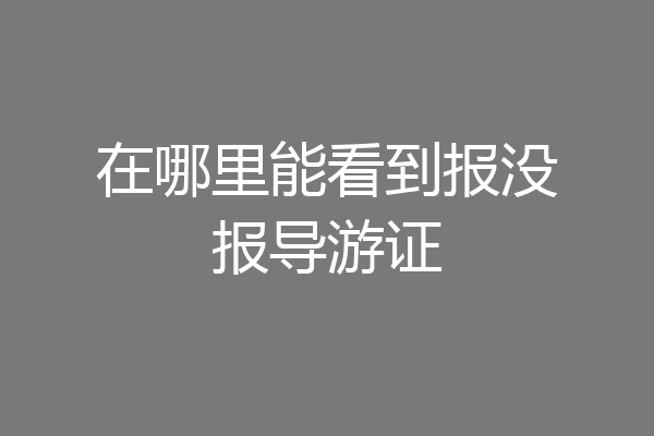 在哪里能看到报没报导游证