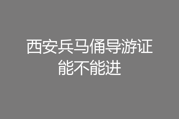 西安兵马俑导游证能不能进