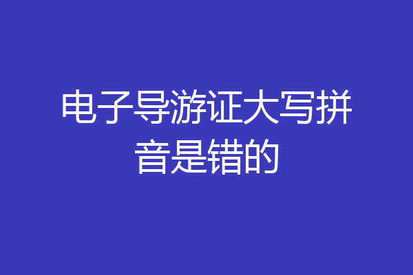 电子导游证大写拼音是错的