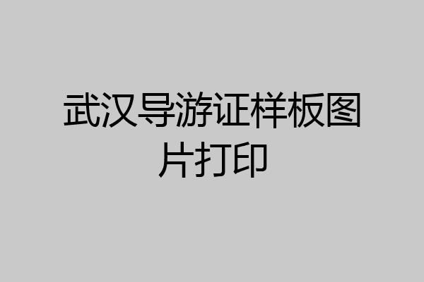 武汉导游证样板图片打印