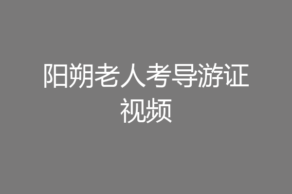 阳朔老人考导游证视频