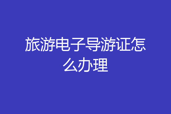 旅游电子导游证怎么办理