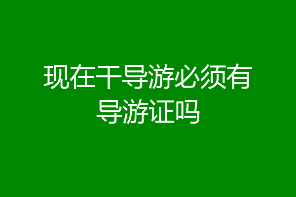 现在干导游必须有导游证吗