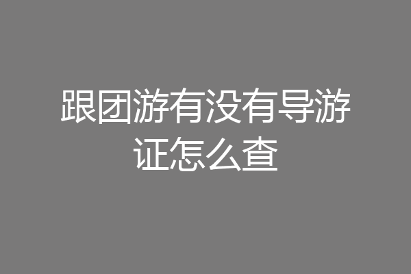 跟团游有没有导游证怎么查