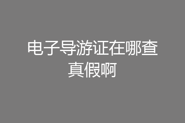 电子导游证在哪查真假啊