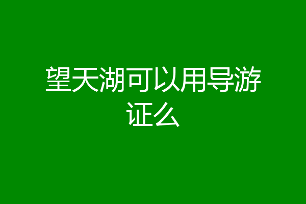望天湖可以用导游证么