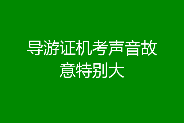 导游证机考声音故意特别大