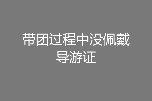 带团过程中没佩戴导游证