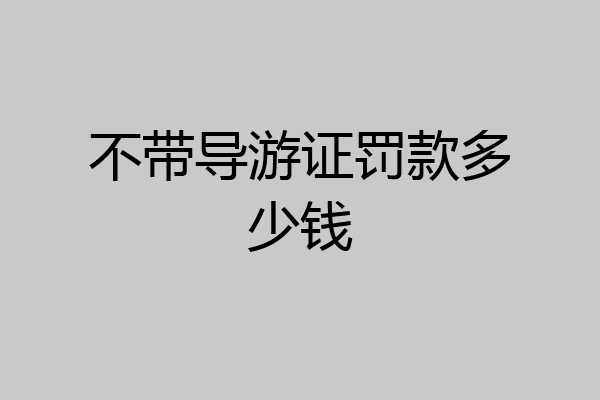 不带导游证罚款多少钱