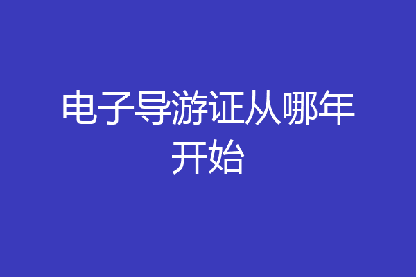 电子导游证从哪年开始