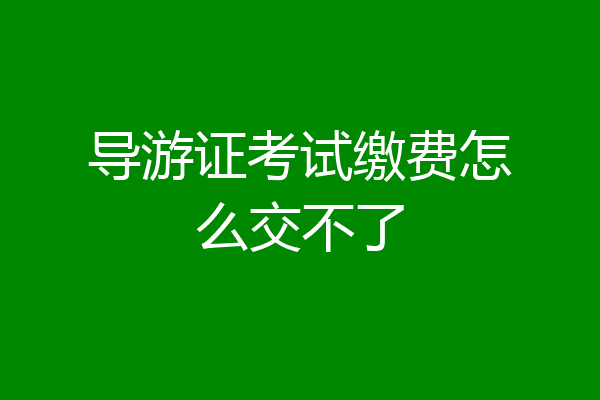 导游证考试缴费怎么交不了