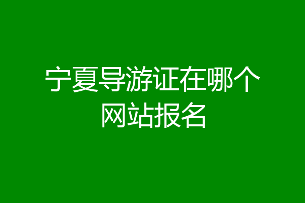宁夏导游证在哪个网站报名