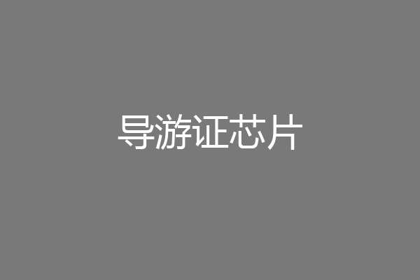导游证芯片