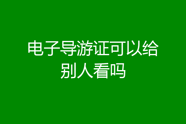 电子导游证可以给别人看吗