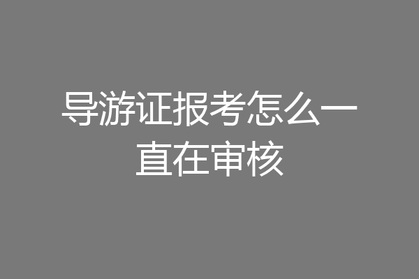 导游证报考怎么一直在审核