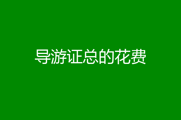 导游证总的花费