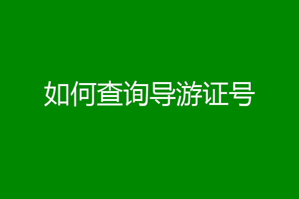 如何查询导游证号