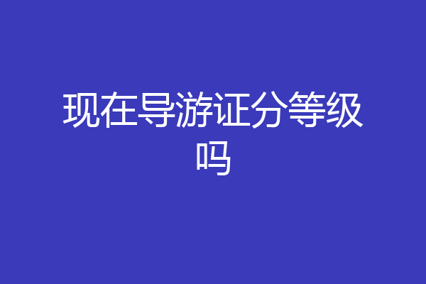 现在导游证分等级吗