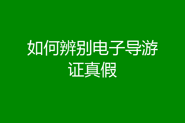 如何辨别电子导游证真假