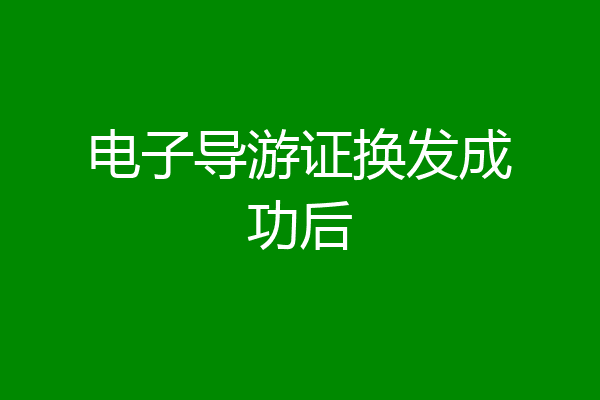 电子导游证换发成功后