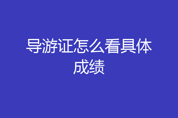 导游证怎么看具体成绩
