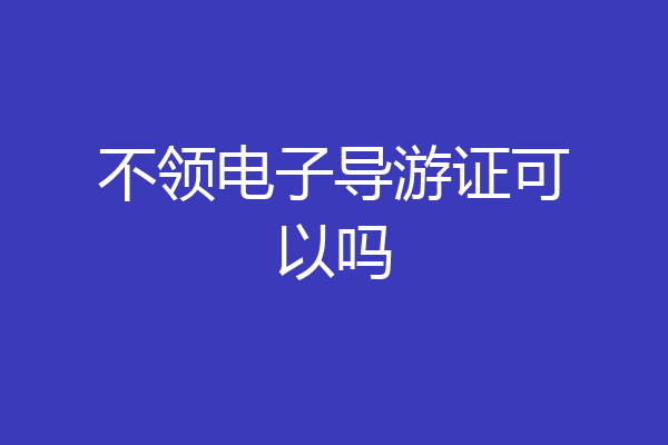 不领电子导游证可以吗